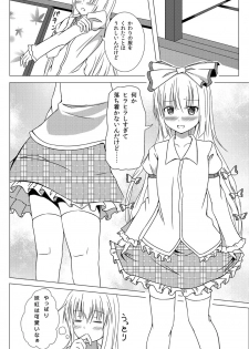 (C84) [Idobata Kaigisho (Fried)] Watashi no Kawaii Mokotan (Touhou Project) - page 9