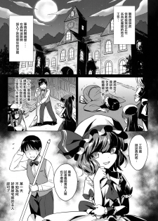 (Reitaisai 15) [54BURGER (Marugoshi)] Sakuya-san o Sukikatte ni Dekiru Ken (Touhou Project) [Chinese] [CE家族社] - page 5