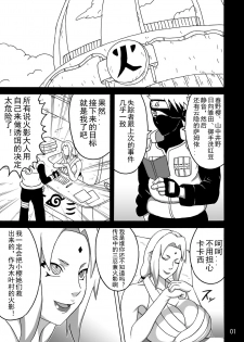 (C92) [Naruho-dou (Naruhodo)] Tsunade no In Kangoku SS (Naruto) [Chinese] [D狗汉化] - page 2