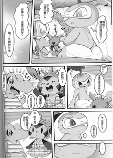 (C93) [BLACK FANG (Ryoutani Kana)] Dreamy Smoke (Pokémon) [Chinese] [虾皮汉化组] - page 10