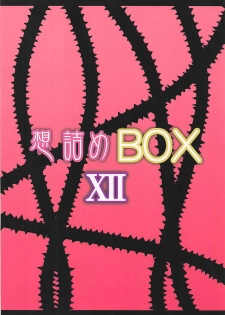 (SC47) [Omodume (Kushikatsu Koumei)] Omodume BOX XII (Yu-Gi-Oh! 5D's) - page 22