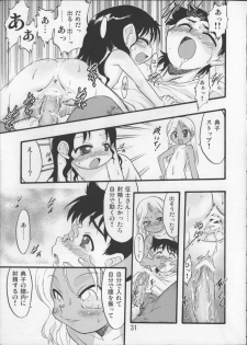 (C76) [P.A.Project (Teruki Kuma)] Nushi no Sumu Yama Dainanakan - page 30