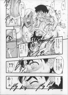 (C76) [P.A.Project (Teruki Kuma)] Nushi no Sumu Yama Dainanakan - page 33