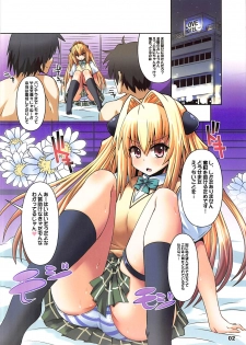 (C81) [Kurubushi-kai (Shinshin)] The darkness from the darkness 2 (To LOVE-Ru) - page 2