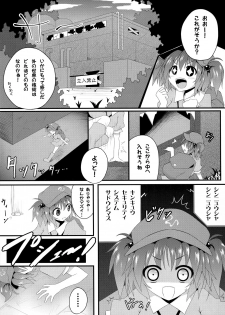 (C79) [e☆ALI-aL! (Ariesu Watanabe)] Watashi no Shiranai Kowareta Meiyuu no Sugata (Touhou Project) - page 3