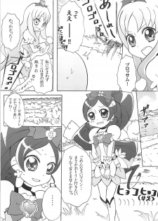 (C78) [Little★Cosmos (Ayano Rumi)] Hazunde Catch! (HeartCatch PreCure!) - page 6