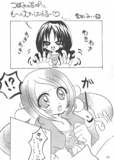 (C78) [Little★Cosmos (Ayano Rumi)] Hazunde Catch! (HeartCatch PreCure!) - page 29