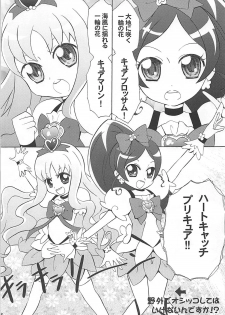 (C78) [Little★Cosmos (Ayano Rumi)] Hazunde Catch! (HeartCatch PreCure!) - page 4