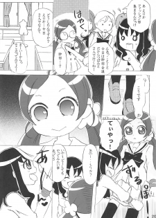 (C78) [Little★Cosmos (Ayano Rumi)] Hazunde Catch! (HeartCatch PreCure!) - page 19