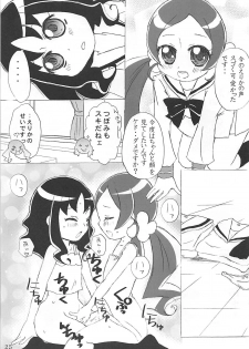 (C78) [Little★Cosmos (Ayano Rumi)] Hazunde Catch! (HeartCatch PreCure!) - page 24