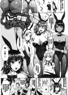 [Kojima Saya] Junjou Bitch Harem - Innocent Bitch Harem | 純情痴女後宮佳麗 [Chinese] - page 14