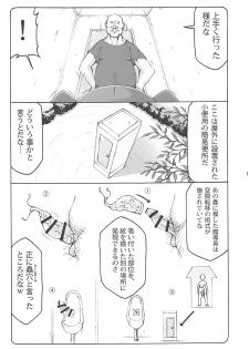 (C93) [Abarenbow Tengu (Izumi Yuujiro)] Kotori 15 (Fate/stay night) - page 12