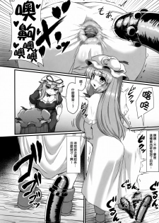 [Garigarigari (Himadara)] Patchouli no Shiriana Bon (Touhou Project) [Chinese] [臭鼬娘漢化組] - page 22