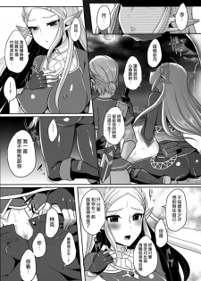 (C93) [Maltese (Runrun)] Yuuwaku no Akaitsuki to Futari no Himitsu (The Legend of Zelda) [Chinese] [瑞树汉化组] - page 15