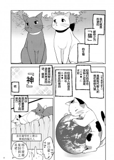 (Mou Nanimo Kowakunai 13) [Nedaore (Ayane)] Matometa no. (Puella Magi Madoka Magica) [Chinese] [吼姆喵个人汉化] - page 27
