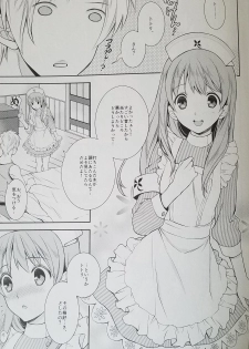 (C89) [Totsugeki Wolf (Yuuki Mitsuru)] Can you master baby? 2 (Atelier Meruru) - page 7