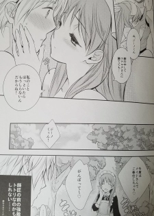 (C89) [Totsugeki Wolf (Yuuki Mitsuru)] Can you master baby? 2 (Atelier Meruru) - page 15