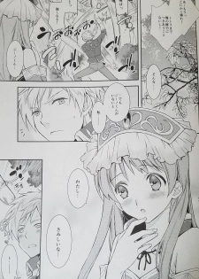 (C89) [Totsugeki Wolf (Yuuki Mitsuru)] Can you master baby? 2 (Atelier Meruru) - page 5