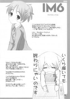 (C77) [Kaitoushinshidan (Kaishinshi)] IM6SP (Various) - page 17
