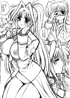 (Lyrical Magical 14) [Kamogawaya (Kamogawa Tanuki)] Y.D.M. Vers. R Limited Edition (Mahou Shoujo Lyrical Nanoha StrikerS) - page 3