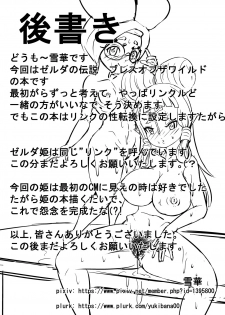 [Chinshieden (Yukibana)] Hime do Yuusha no Hyrule Nichijou (The Legend Of Zelda) [Digital] - page 25