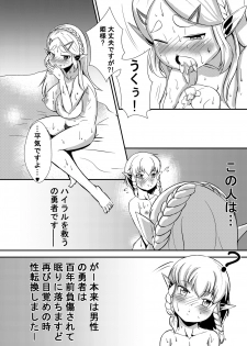 [Chinshieden (Yukibana)] Hime do Yuusha no Hyrule Nichijou (The Legend Of Zelda) [Digital] - page 3