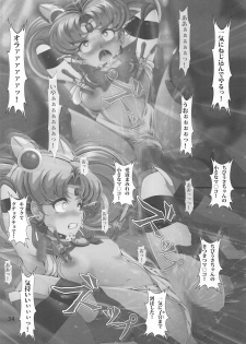 (C93) [Otokojuku (Nanashi Noizi)] Chibiusa Shiiku Nisshi 2 (Bishoujo Senshi Sailor Moon) - page 33