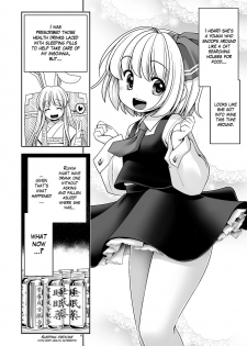 [Yosutebito na Mangakaki (Tomoki Tomonori)] Kaihatsu Minkan (Touhou Project) [English] {Mant} [Digital] - page 6