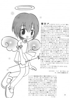 (C59) [Cheese-iri Kamaboko-dou (Mako Cube)] Hikari Mania (Digimon Adventure 02) - page 27