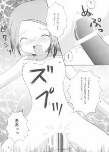 (C59) [Cheese-iri Kamaboko-dou (Mako Cube)] Hikari Mania (Digimon Adventure 02) - page 20