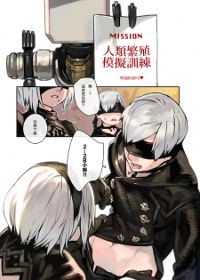[Aoinhatsu (Aoin)] 2B9S (NieR:Automata) [Chinese] [Digital] - page 4