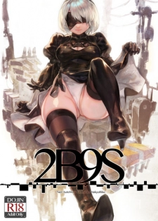 [Aoinhatsu (Aoin)] 2B9S (NieR:Automata) [Chinese] [Digital]