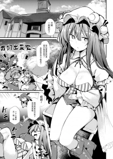 (C94) [Arutana (Chipa)] Sukidarake Patchouli-sama (Touhou Project) [Chinese] [脸肿汉化组] - page 4