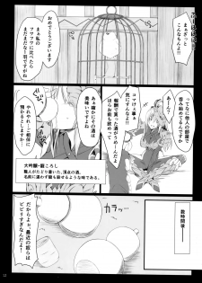 (C94) [UDON-YA (Kizuki Aruchu, ZAN)] Monhan no Erohon 16β (Monster Hunter) - page 11