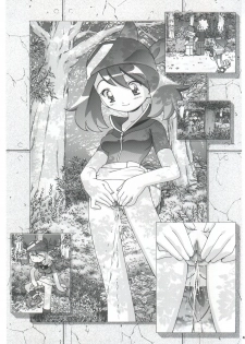 (C66) [Gambler Club (Kousaka Jun)] PM Gals! (Pokémon) - page 45