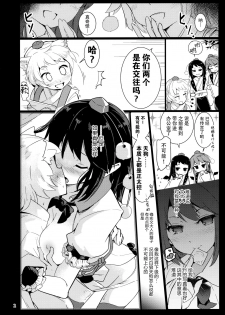 (C94) [Honoji (Puuakachan)] Shameimaru Aya no Appaku Shuzai Ge (Touhou Project) [Chinese] [脸肿汉化组] - page 4