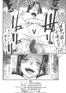(C94) [RED FARMER (Aka Shirt Seisansha)] ROBIN'S HOLE (One Piece) - page 25