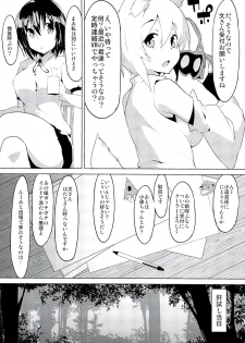 (C94) [Asshuku Koubou (Terazip)] Youkai no Yama de Kimodameshi (Touhou Project) - page 3