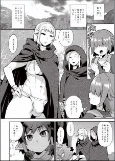 (C94) [Granada Sky (Mogiki Hayami)] Elf Onsen - page 3