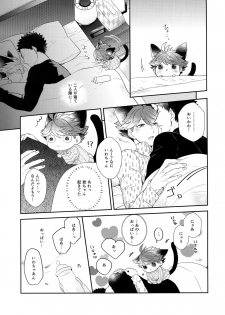 (RTS!!13) [Rototika (Kamishi Yue)] Iwachan no Neko ni Naritai 6 (Haikyuu!!) - page 8