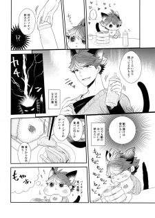 (RTS!!13) [Rototika (Kamishi Yue)] Iwachan no Neko ni Naritai 6 (Haikyuu!!) - page 11