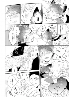 (RTS!!13) [Rototika (Kamishi Yue)] Iwachan no Neko ni Naritai 6 (Haikyuu!!) - page 27