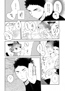 (RTS!!13) [Rototika (Kamishi Yue)] Iwachan no Neko ni Naritai 6 (Haikyuu!!) - page 25