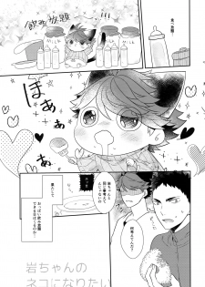 (RTS!!13) [Rototika (Kamishi Yue)] Iwachan no Neko ni Naritai 6 (Haikyuu!!) - page 12