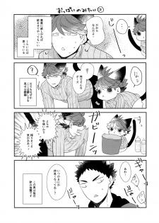 (RTS!!13) [Rototika (Kamishi Yue)] Iwachan no Neko ni Naritai 6 (Haikyuu!!) - page 14