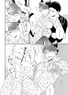 (RTS!!13) [Rototika (Kamishi Yue)] Iwachan no Neko ni Naritai 6 (Haikyuu!!) - page 21