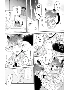 (RTS!!13) [Rototika (Kamishi Yue)] Iwachan no Neko ni Naritai 6 (Haikyuu!!) - page 23