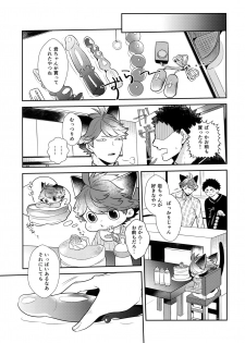 (RTS!!18) [Rototika (Kamishi Yue)] Iwachan no Neko ni Naritai 7 (Haikyuu!!) - page 6