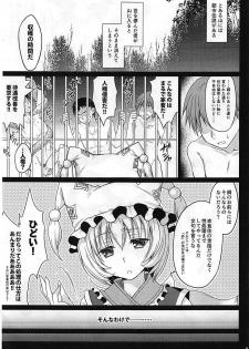 (C94) [Kanmi Ningyou (Katagiri Chisato)] Yakumo-ke no Rakunou Jijou (Touhou Project) - page 4