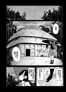 (Reitaisai 14) [Wada Mountain (Takashi)] Shigensou Kei (Touhou Project) [Chinese] [团子个人汉化] - page 5